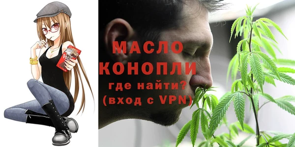 дживик Надым